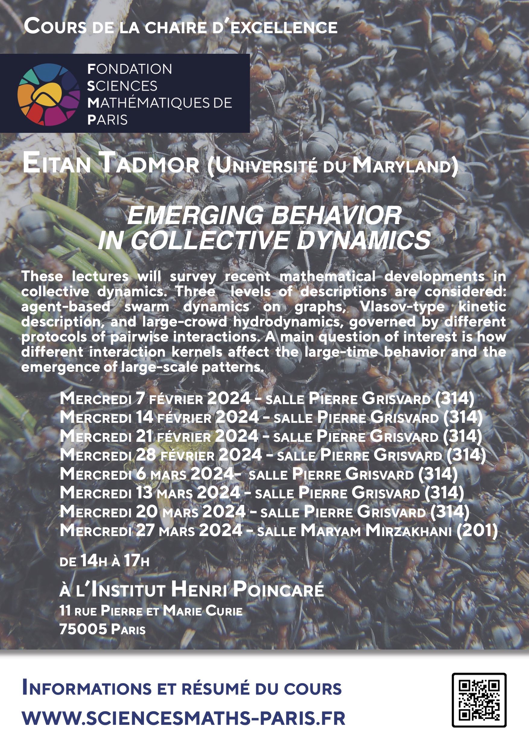 affiche cours Tadmor pt