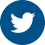 footer twitter